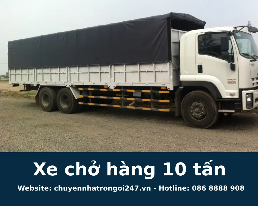 Website: chuyennhatrongoi247.vn - Hotline: 086 8888 908